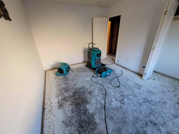 Best Water damage restoration experts  in Salina, UT