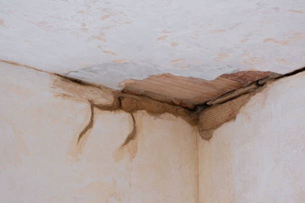 Best Water damage restoration experts  in Salina, UT