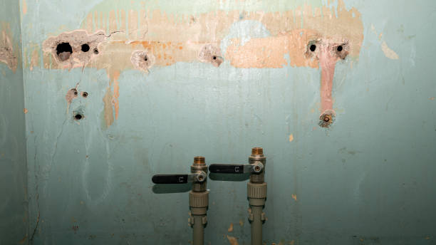 Best Residential water damage restoration  in Salina, UT